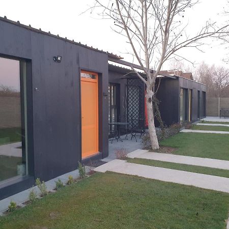 Pensiune Arada Exterior foto