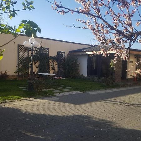 Pensiune Arada Exterior foto